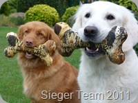 Sieger