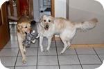 Amy & Holly