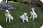 Holly, Lena, Debbie