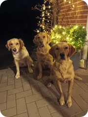 Weihnachten 2024